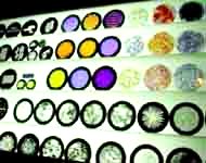 ¤½¥qlobo ¼Ë¥»